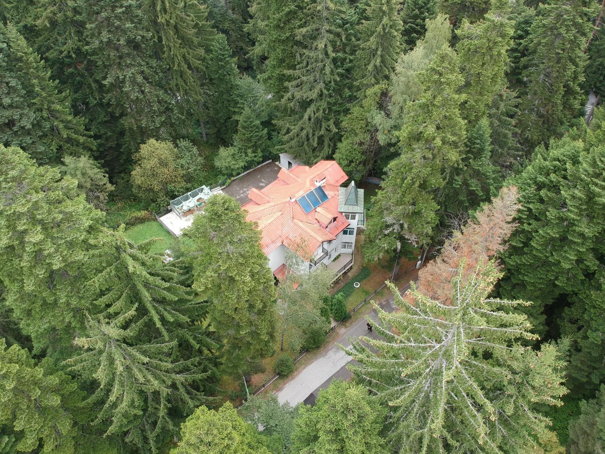 The Forest Villa Borowez Exterior foto